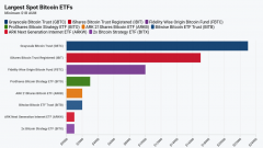 tp钱包官网下载app|贝莱德的比特币 ETF 在 11 周内处理了超过 135 亿美元的资金